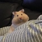 나 <b>뒷태만</b> 보고 번호 땄대