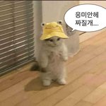 [댓글부탁해] 너네 요즘 <b>겉옷</b>