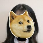 나 <b>집</b>에서 학생증 <b>사진</b> 찍었는데 이상함?