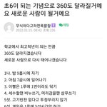 [댓글부탁해] 봄웜라이트<b>or</b>페일인 판녀 잇음??
