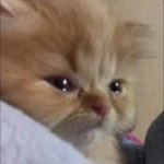 [NCT칠프] 굿즈 <b>우편</b>이 한 달 째 안 오는데 어떻게 해야함?