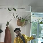 [NCT드림] 근데 저 뒤에 저 <b>식물</b>은 어쩌다가