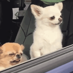 [방탈죄송] <b>숙취</b> 제발 도와주세요