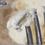 백화점에서 파는 빵에 벌레 나와