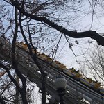 <b>이월드</b> 놀이기구 멈춰 비상 대피