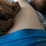 얘네는 일어날<b>때</b>마다 이러냐 <b>애기</b>들 진짜