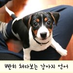 가족 여행 가느라 학원 빠져야 하는데