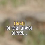 [NCT칠프] 마크 얘 <b>대체</b> 뭐냐?