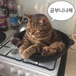[댓글부탁해] 얘들아 제발 들어와줘 진짜ㅠㅠㅠㅠ