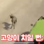 [드루와] 유튜버 <b>주둥이</b> ㅈㄴ 호감이네