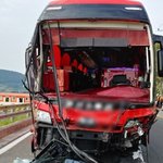 유치원 버스, 중앙선 넘은 승용차와 정면충돌…원생 전원 <b>무사</b>