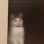 [댓글부탁해] 보기만 해도 설레는 <b>이름</b> 있냐