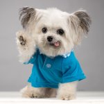 [드루와] 흑<b>꿈치</b> 고민인 애들 있어?