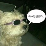 [드루와] 너희 삼성 <b>이재용</b> 이 썰 아냐?