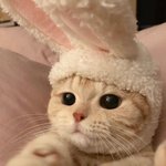 [댓글부탁해] 얘들아 <b>스벅</b> 질문있음 ㅠㅠ
