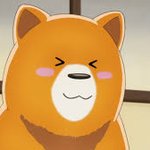 <b>개운</b>해