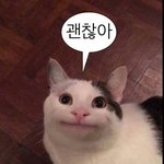 저녁 메뉴 추반 좀