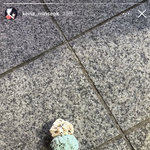 [댓글부탁해] 찐따한테 인기많은건 못생긴거야…??