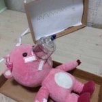 [드루와] 너넨 짝사랑하면서 어디까지해봤냐