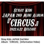 [스키즈] 일본 미니 소개 비디오