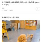 개쓰레기<b>요일</b> 죽지도 않고 또 왔네
