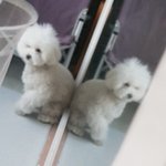 나 아름다운게 너무좋아