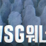 대충 윤곽 잡힌 <b>wsg워너비</b>