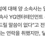<b>와이지</b> 입장 냈네