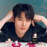 덥즈 영훈 주연 셀링포인트 다른거 너무 웃김