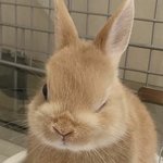 [NCT드림] 방금 올라온 릴스