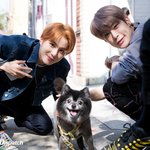 [NCT칠프] <b>메타</b>몽즈 시바견카페 가려나?