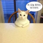 [댓글부탁해] 방 안에 있는 베란다에서 전화 가능? 도와줘
