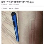 03들만 들와바
