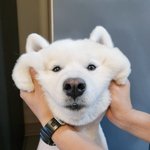 [<b>방탄소년단</b>] 아무슨<b>글</b> 쓰려고 들어왔는데 까머금