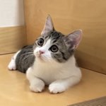 나 오늘 10시부터 방금전까지