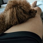 <b>애기야</b> 좀 나와봐ㅠ 오빠 일어나게
