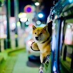 [NCT칠프] 도쿄로 <b>출발</b>하는 태일이