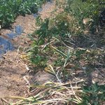 며느리보다 뭐든지 싼가격에 잘 산다 후려치는 시모께 돈드며 심부름시킴ㅋㅋ