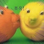 [드루와] ㅆㅂ 나 그냥 남자 안사귈래