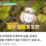 아ㅆ 금쪽이 은쪽이 개웃김