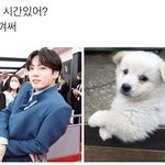 [군대] 전<b>짱</b>국 이거 <b>개</b>귀엽다