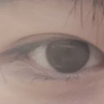 렌즈 <b>직경</b> 어떤거같음