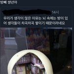 [추반] 추-사는용기가 더 <b>크다</b> vs