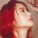 sm빨간머리의 <b>계보</b>