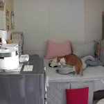 나도 울집 <b>미남</b>아들 홍식이 자랑해야지~~~