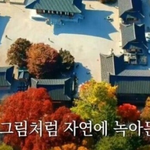 한국 <b>사찰</b>을 방문한 어느 외국인 가족