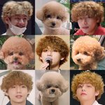 [방탄소년단] 숨은 태형이 <b>찾기</b> 할래?