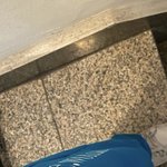 이 브랜드 아느<b>사라</b>뮤ㅠㅠ