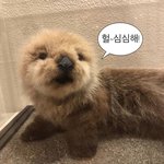 [드루와] 안유명한 여돌 노래 추천해줌