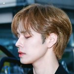 <b>티존</b>에 서양인 유전자 한스푼 있을 듯.jpg